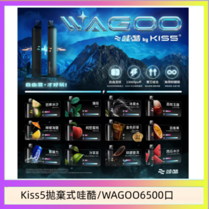 WAGOO哇酷Kiss5 6500口拋棄式 | 自由混搭雙口味 | 雙芯組合