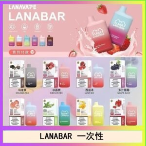 LANA BAR可充电一次性電子煙霧化5000口(3.0%)