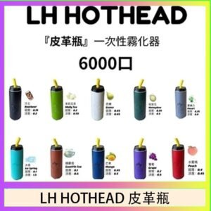 LH HOTHEAD皮革瓶電子煙可充電6000口一次性