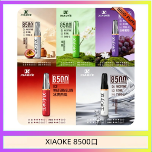 梟客XIAOKE一次性電子菸拋棄式8500口